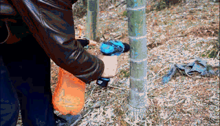 手持治蝗器操作